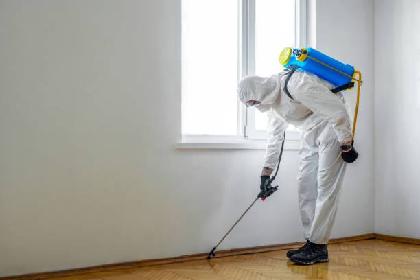 Best Exterminator Services  in California, PA