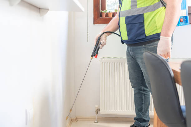 Best Flea Control Services  in California, PA