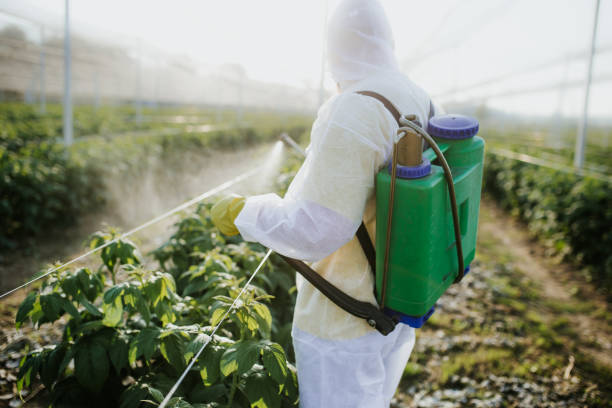 Best Affordable Pest Control Services  in California, PA